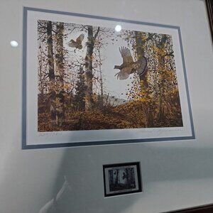 David Hagerbaumer :Grouse on a Hillside"